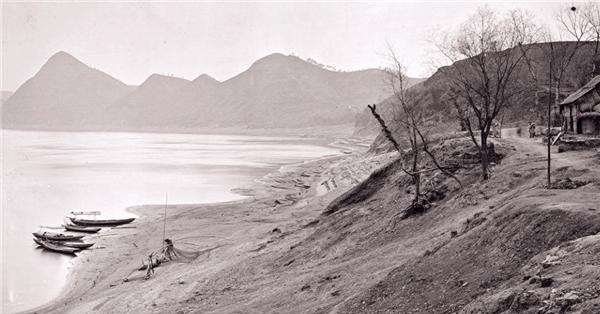 杀人案|清末津门奇事二则:毒蜥杀人案、怪异“小黄人”