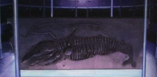 高达|高达史上最好反派,比卫宫士郎还正义,却被男主角伙同女友打死?