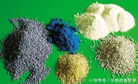 花卉|花卉盆栽的施肥方法,你真的会吗