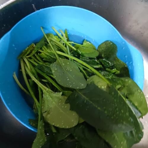 菠菜鸡蛋，是一款清爽的菜，不油腻