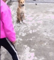 |搞笑GIF:妹子,这头卡的进不来出不去,好无奈啊