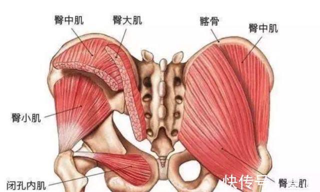 健身|巴西健身美女，1张“极致美臀”照红遍网络，3个动作激活臀大肌