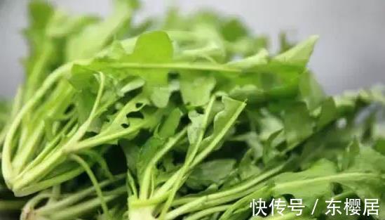 野菜|蒲公英、香椿、榆树钱、白蒿,一种野菜治一种病,了解一下