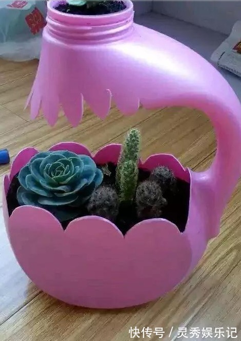 家中用完的“洗衣液桶”别丢了,剪上2刀,秒变养花神器,太美了