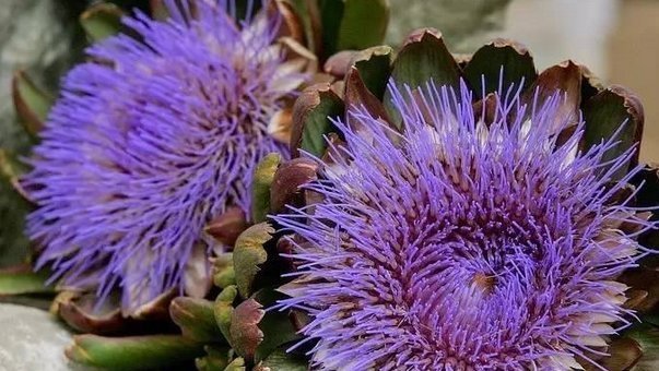 有福气|真正聪明又有福气的人,都懂得给这三种人低头,怪不得越混越好