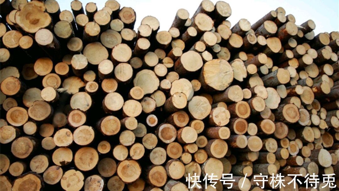 23个冷知识:经过检验真实存在,虽无处使用但却十分有趣