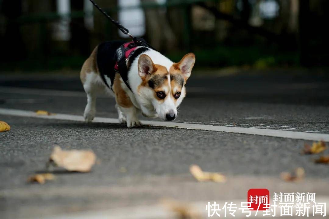 情景|成都情景丨沙河边