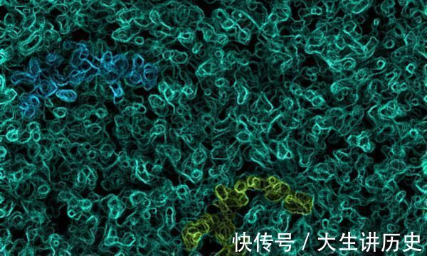 患者|癌症也能被“治愈”医生直言若是能做到4点,你也是幸运儿