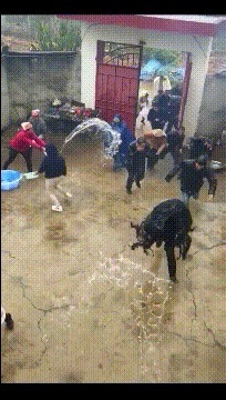 |搞笑GIF：一群单身狗活该单身，都看不见妹子倒了吗