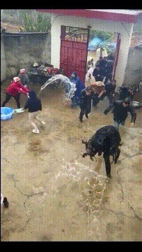 |搞笑GIF:一群单身狗活该单身,都看不见妹子倒了吗