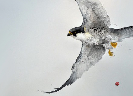 水彩艺@水彩艺术家卡尔·马尔滕斯画的鸟,惟妙惟肖!