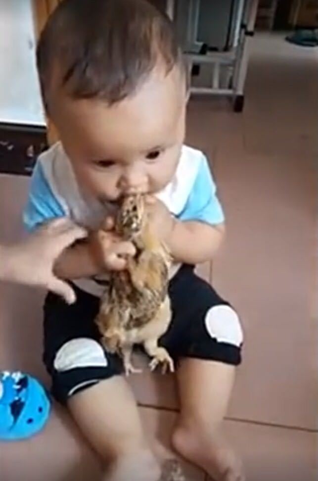 宝妈在卫生间洗衣服听到客厅有动静,出来看到宝宝行为,笑弯腰