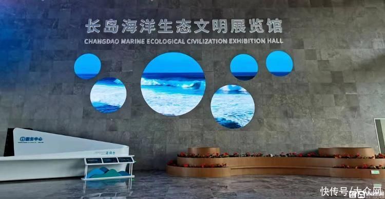 展览馆|探访长岛海洋生态文明展览馆：立体呈现海岛型地区生态建设的“长岛样板”