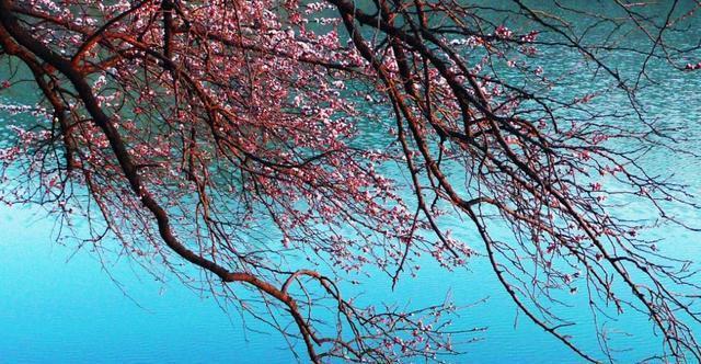 教你4招“风天钓鱼法”,鱼上得比平时还快,往后钓鱼无风不欢了