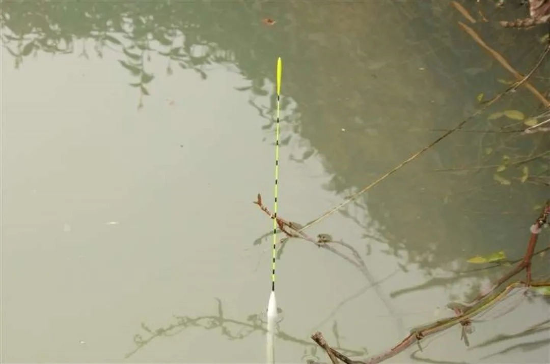 野钓鲫鱼出现这些现象，说明钓得太钝了，可从三个方面调整