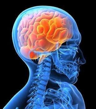 曝光这5个器官在晚上睡觉休息,你却在熬夜,怪不得会生病