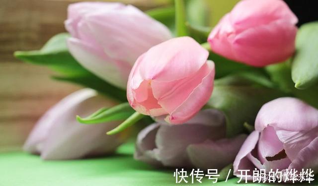 小兰|你之所以活得累，其实是“比”出来的