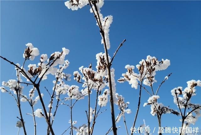 满山|如梦如画！通渭华家岭满山雾凇醉游人