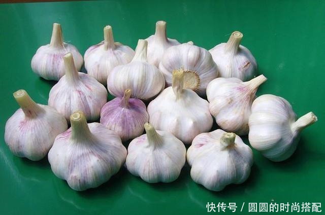 大蒜放久了干瘪发芽,容易坏你得这样放!