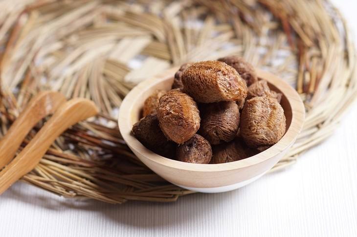 桑螵蛸|乡村土中医的“固精方”!一味药,守住精气神,好不容易学到手