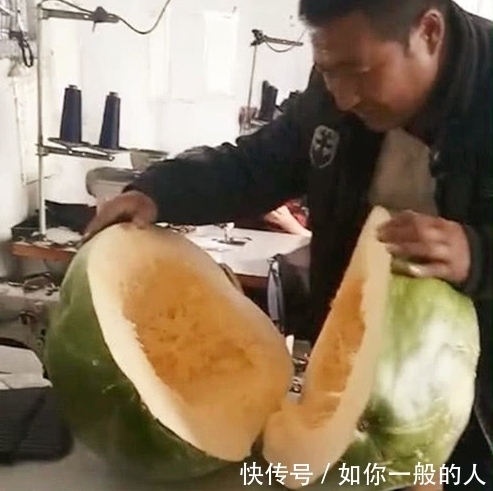 神秘|老板花60元路边买个神秘水果,切开后,工人们直呼浪费