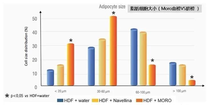 血橙|减肥≠减重？Yes，你更需要的是减脂——意大利西西里血橙提取物