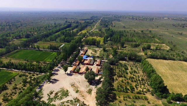 中国这个沙漠就要“消失”,如今已成为一片绿洲,还种植上了土豆