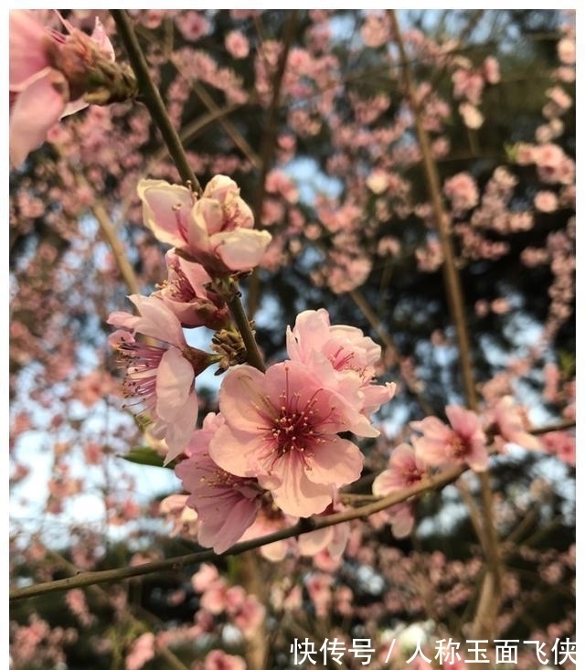 人面|一周内，面对旧爱，真爱邂逅，时光飞逝，转身离开，思念缱绻