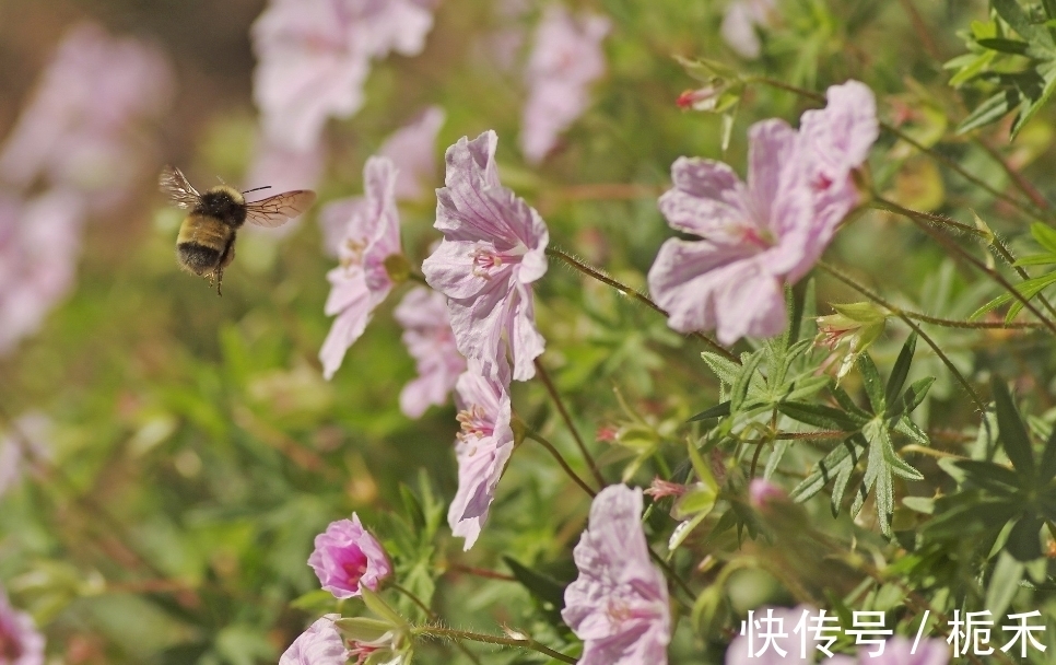 幸福时光|7月，一次相见，望眼欲穿，难解难分，3生肖纠缠前任，牵挂在心