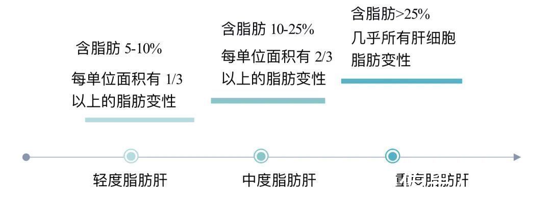 b超|脂肪肝会变肝癌吗？看懂检查报告这几项，防肝癌于未然