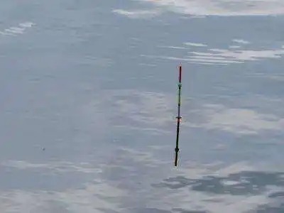 垂钓大师教你挑选浮漂，不一定是最贵的，但一定是最适合自己的！