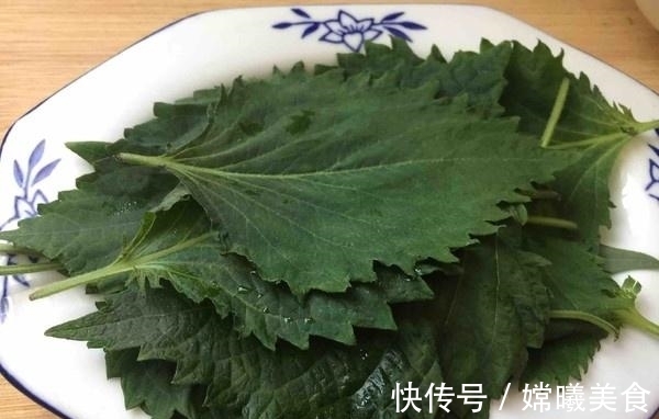 眼干眼涩就吃它，隔三差五吃一点，味道清香保护视力