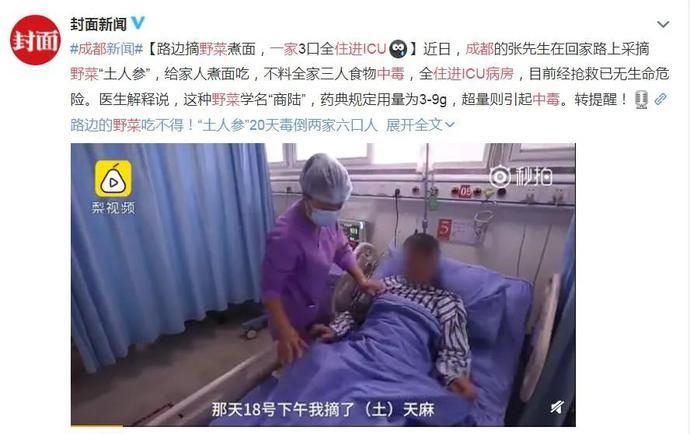 紧急提醒！有人中招被送ICU！青岛路边的这东西千万别挖！