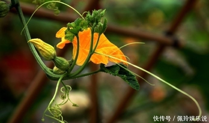 鬼谷子识人术一个人有没有出息,看这三点就够了