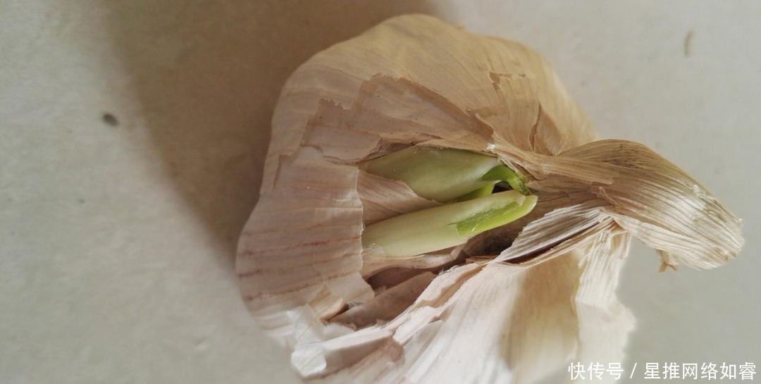 大蒜皮不要扔掉了,几个用途花钱都买不到,真是长见识了