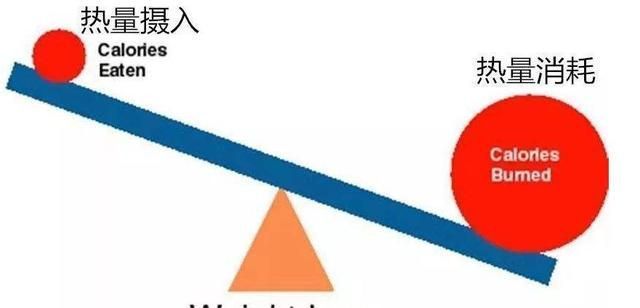 减重|减肥,什么样的减重速度是安全的?要怎么做才能健康地瘦下来?