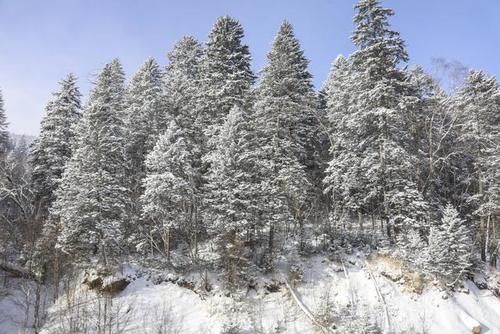 白山抚松藏着个“木屋村落”，落泪的风景连绵，去这里返璞归真吧