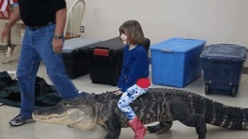 小棉袄|午睡起来发现女儿不见了,来到客厅看的画面,顿时大汗直流