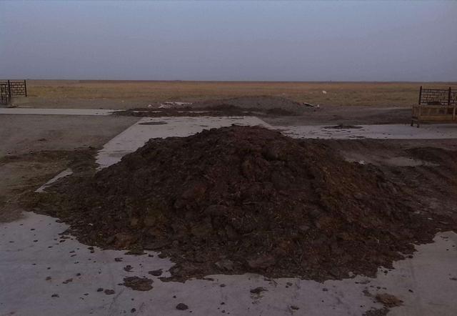 臭臭的却是“养花宝”，盆里用一点，新芽萌发快，不怕养不活！