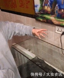 隐身|“终于知道迷彩服的重要性了,进山就隐身!”背包怎么飘了?哈哈哈