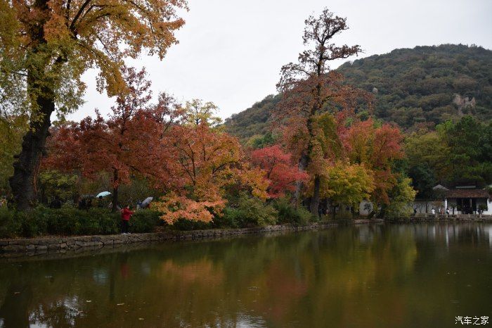 天平山|【喜迎国庆】停车坐爱枫林晚，霜叶红于二月花。游天平山赏枫叶