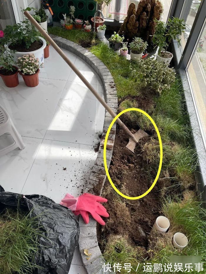住高层这么干,阳台窗前20公分,用红砖围一圈水池,养鱼种花都好
