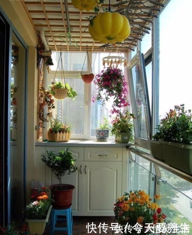 花园|阳台有了它们，立马变成小花房，看书品茶两不耽误！