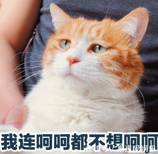 叶嘉莹$他与温庭筠齐名,一词短短4句,道尽无奈,其中2字成网络流行语