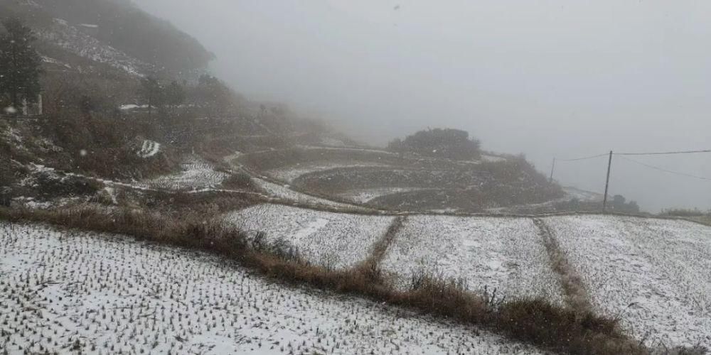 雪景|丽水这些地方下雪了，美炸了~最新雪景美图，请签收