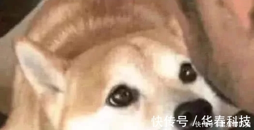 发育不良|吉尼斯世界之最:小宝宝刚刚出生就创下纪录,网友:真是万幸!