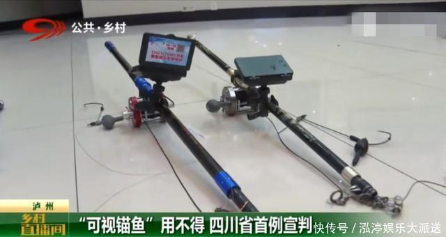 锚鱼被首次定性，4斤多的鲤鱼换来2个月拘留，钓鱼人小心了