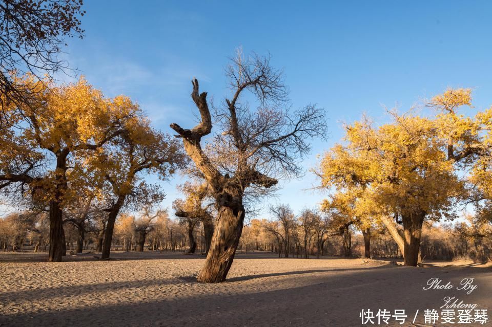 电影《英雄》取景地--内蒙额济纳，记录炫丽迷人的七彩丹霞地貌