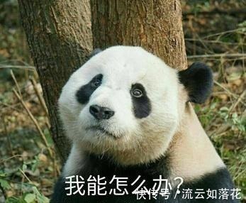 中国队|我的球门我自己来,盘点世界足坛6大乌龙射手王中王