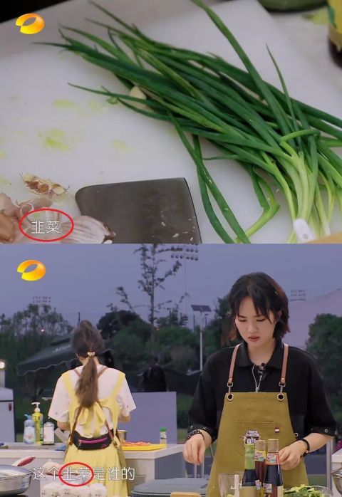 丁真|《中餐厅5》口碑暴跌,嘉宾尴尬相处,像大街上凑来的